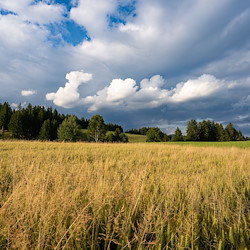 37 - Wolzenalp Juli 2025-15.jpg